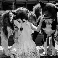 My pack