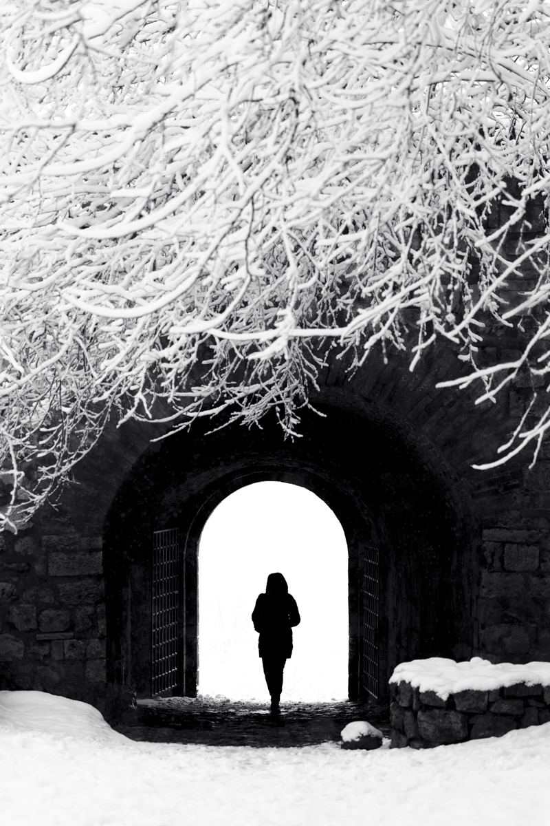 Winter’s Gate