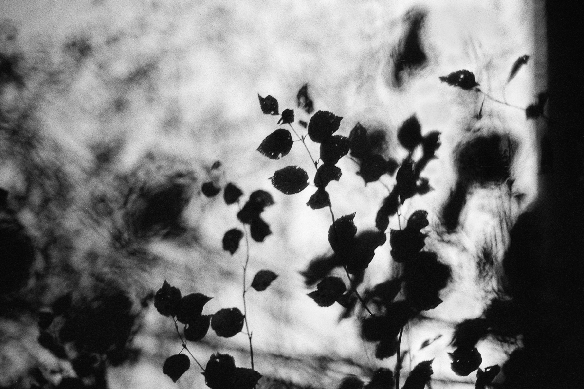 Winter Sun