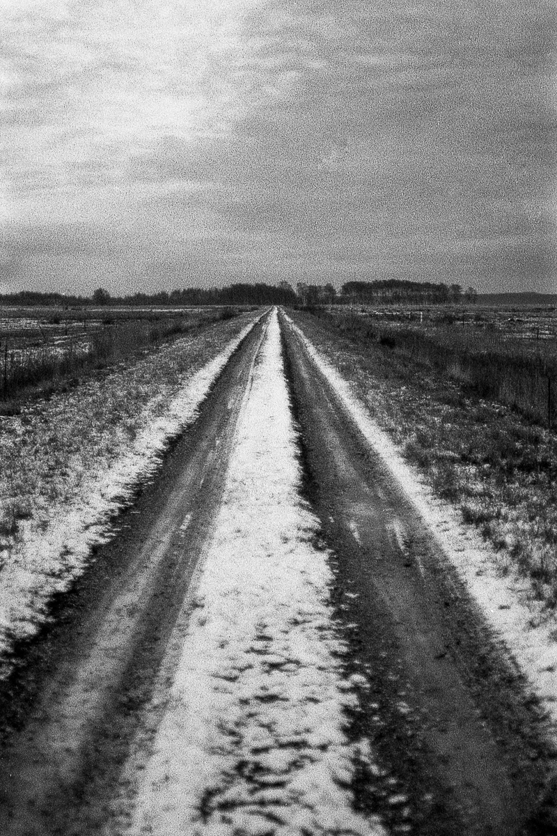 Winter Sun