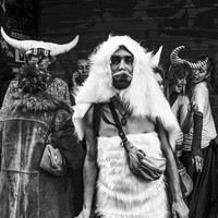 LE CARNAVAL DES INDOCILES