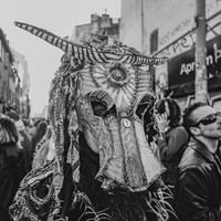 LE CARNAVAL DES INDOCILES