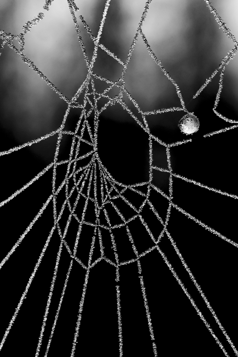 Diamonds and Pearls