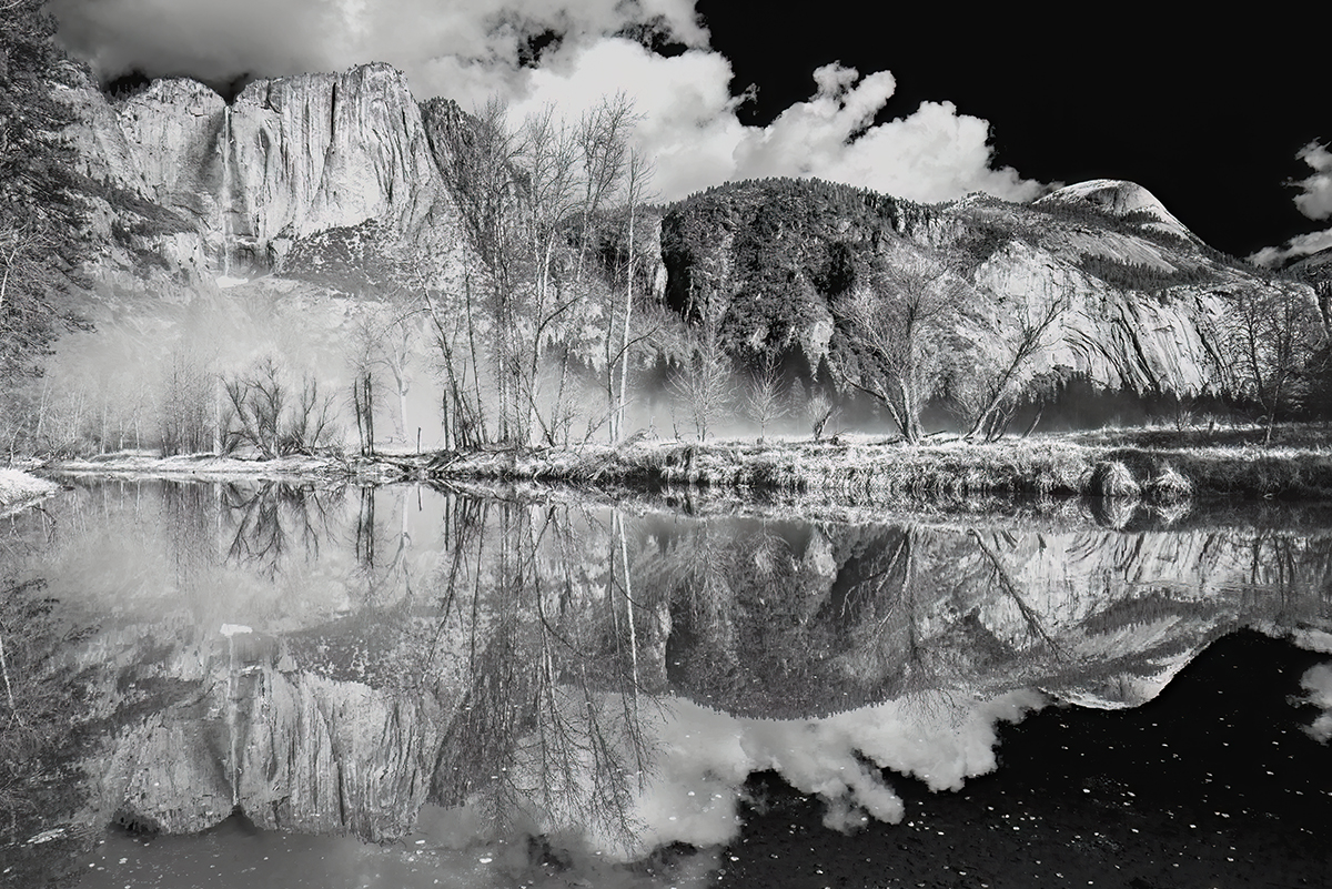 Nature Reflected