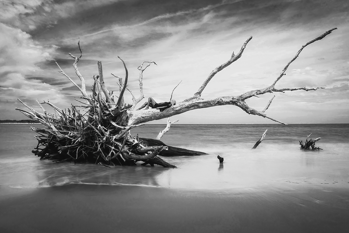 Uprooted