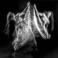 Dança