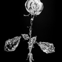 Corpus Floret