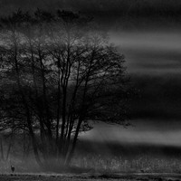 Under a black blanket