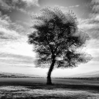 Multiexposure