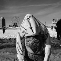 Coney Island Polar Bears