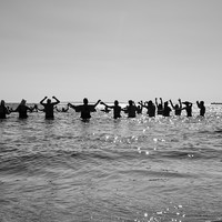 Coney Island Polar Bears