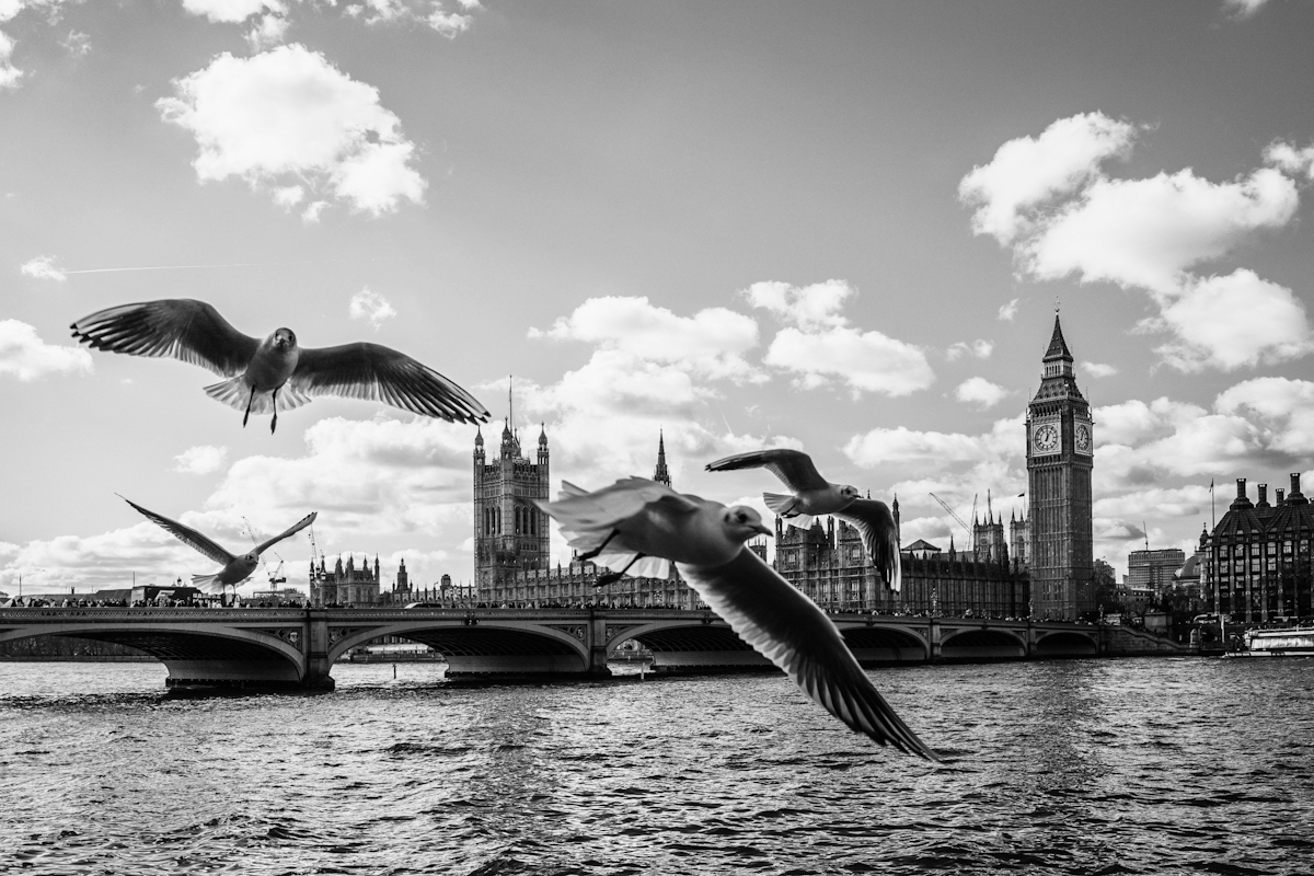 Big Ben fly 