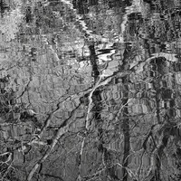 The puzzle of water