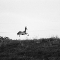 Out. Standing in their field. (Creatures)