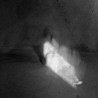 Self portraits