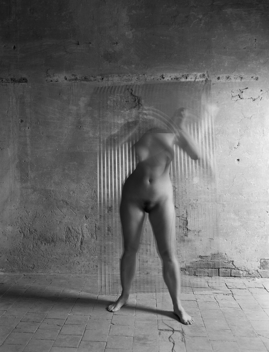 Self portraits