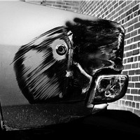 Zoomorphism