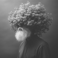 a mind in bloom
