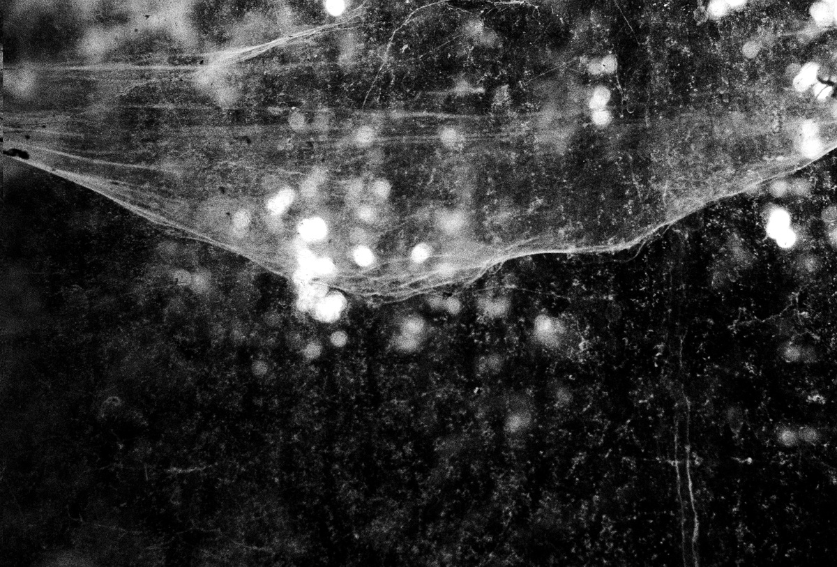 In' Visible