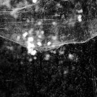 In' Visible