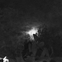 Dark Is The Night