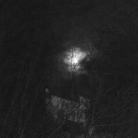 Dark Is The Night