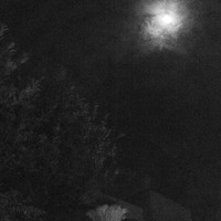 Dark Is The Night