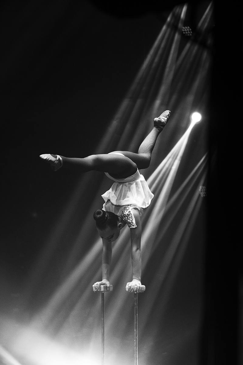 Circus