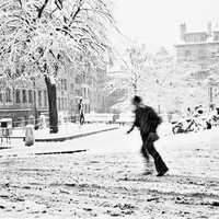 Snow Motion