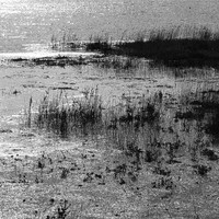 ​The seashore — Where the world softens
