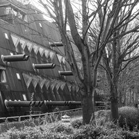 Mice Bunker: The Brutalist Relic