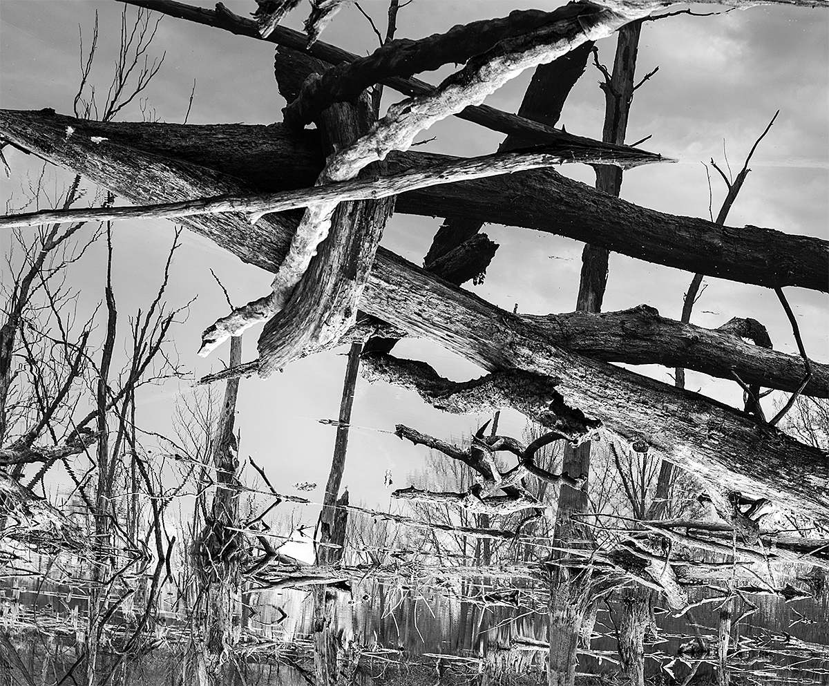 Geometry of the Marsh (180 degree rotation)