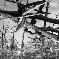Geometry of the Marsh (180 degree rotation)