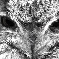 Regards hypnotisant 