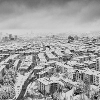White Silence