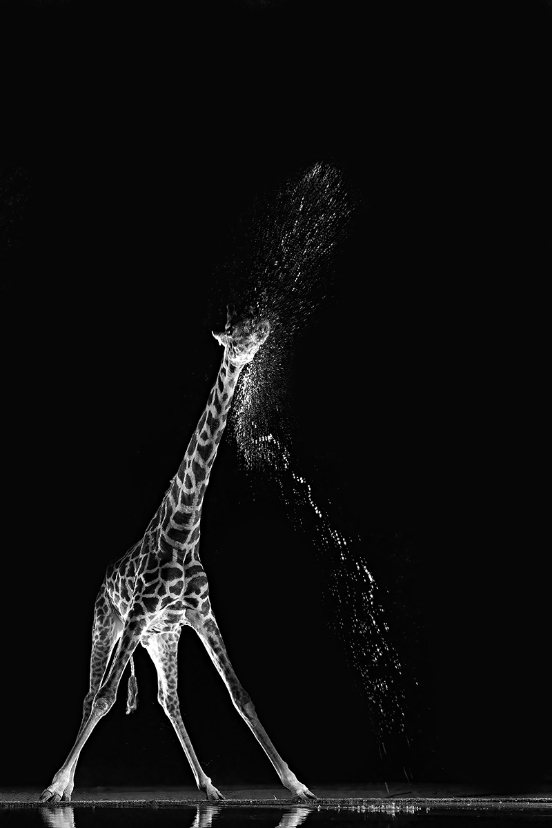 Dancing in the dark