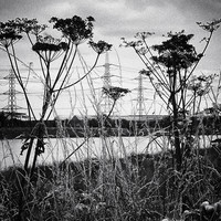 EDGELANDS_