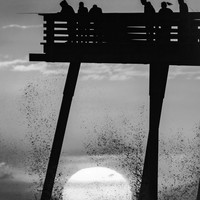 Pismo Pier with Ponytail