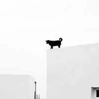 Isolation