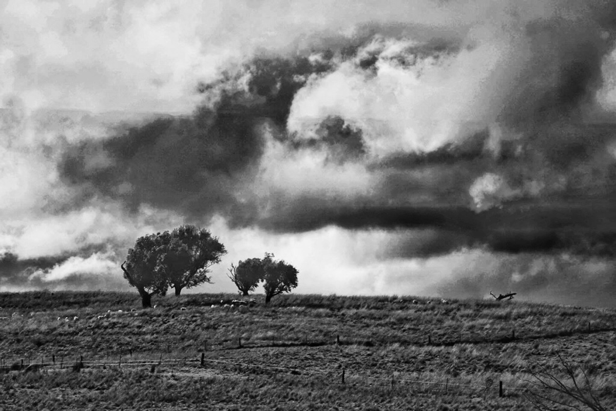 Storm over Junee