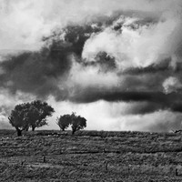 Storm over Junee