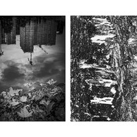 CROSSING SHOOTING
