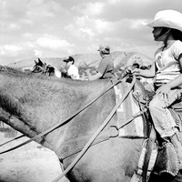 Le cowboy