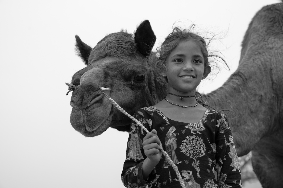Life at the Camel Festival