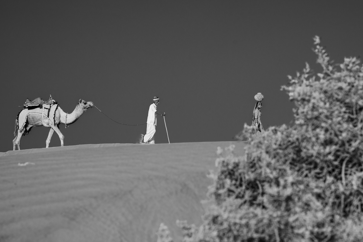 Life at the Camel Festival
