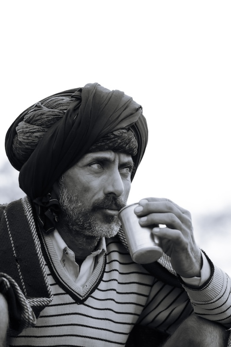 Life at the Camel Festival