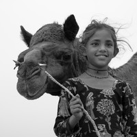 Life at the Camel Festival