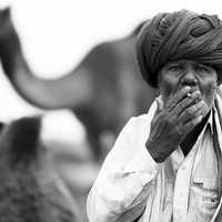 Life at the Camel Festival
