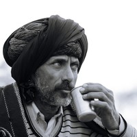 Life at the Camel Festival