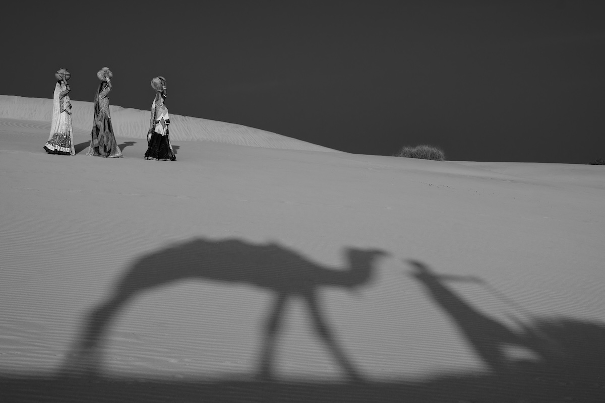 Life at the Camel Festival